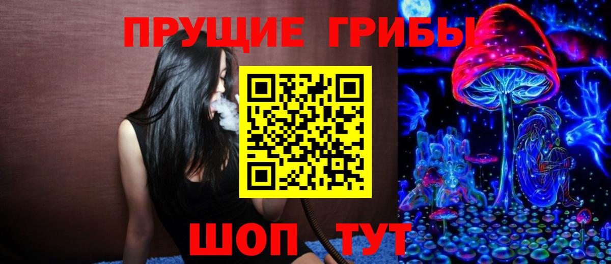 Галлюциногенные грибы GOLDEN TEACHER  Вход с VPN  Урус-Мартан 